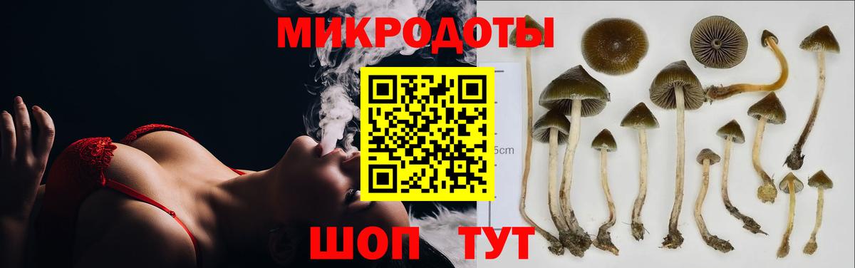 Стрежевой  Псилоцибиновые грибы ЛСД  Вход с VPN  Псилоцибиновые грибы мицелий 